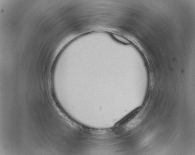 X0000062671048200601181855