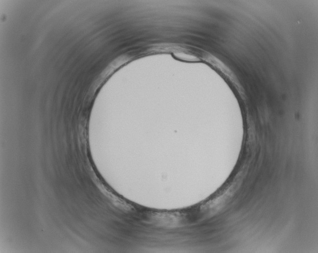 X0000062671049200601181855