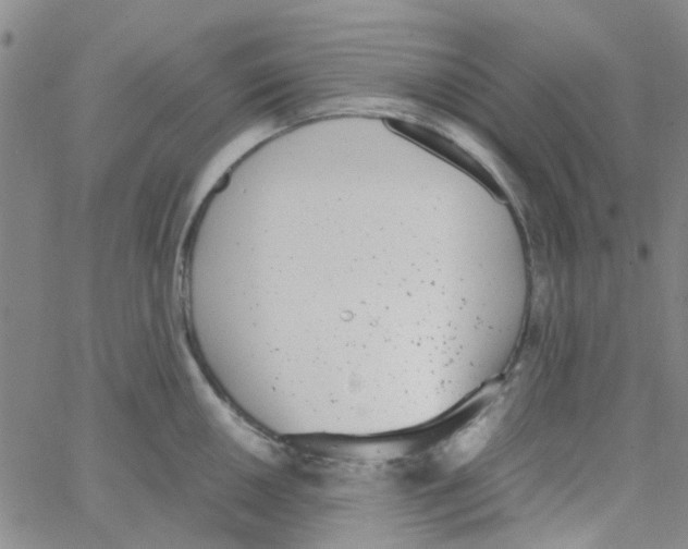 X0000062671050200601181855