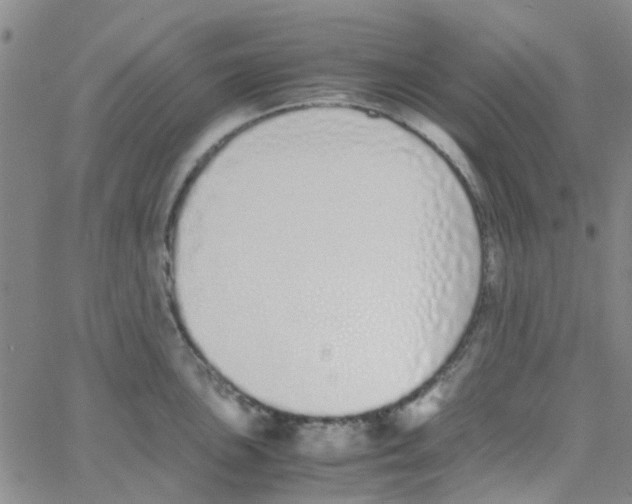 X0000062671051200601181855