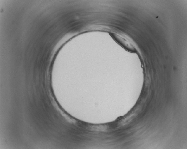 X0000062671053200601181856