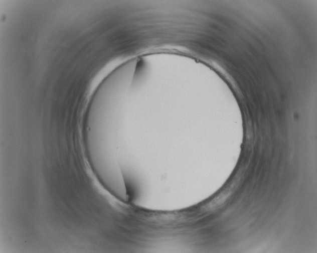 X0000062671054200601181856