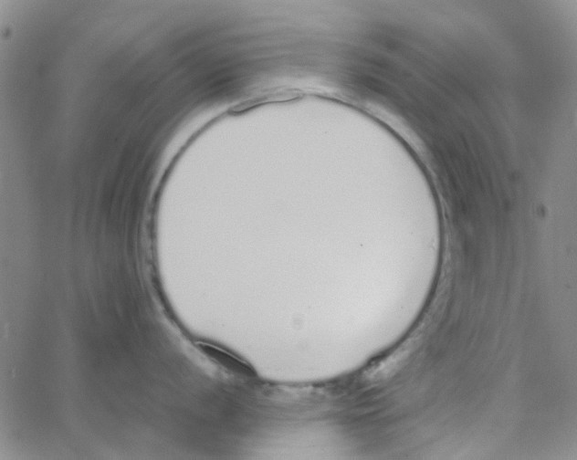 X0000062671056200601181856