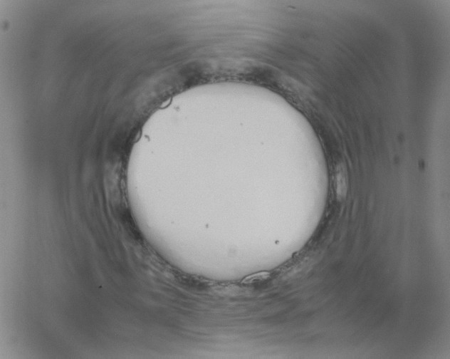 X0000062671059200601181855