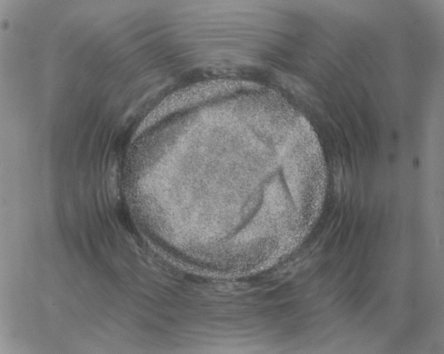 X0000062671060200601181855