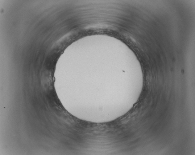 X0000062671062200601181855