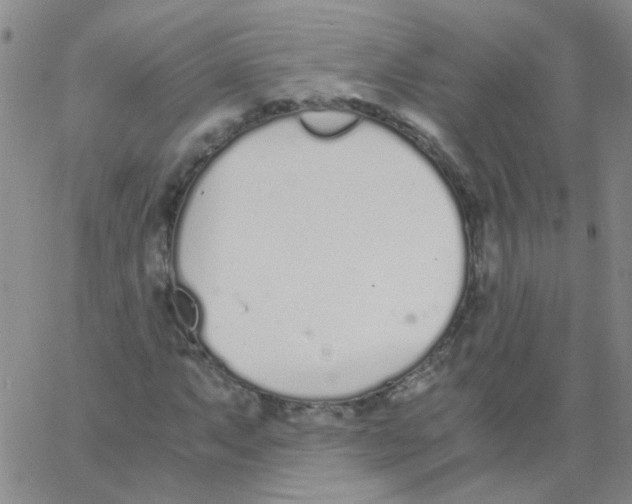 X0000062671063200601181855