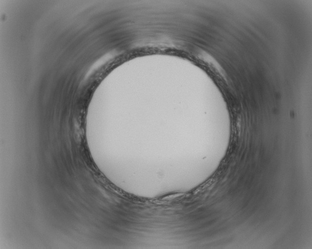 X0000062671064200601181855