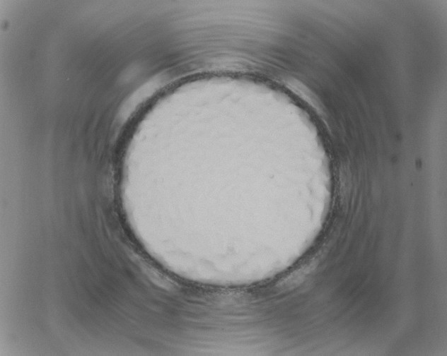 X0000062671067200601181855