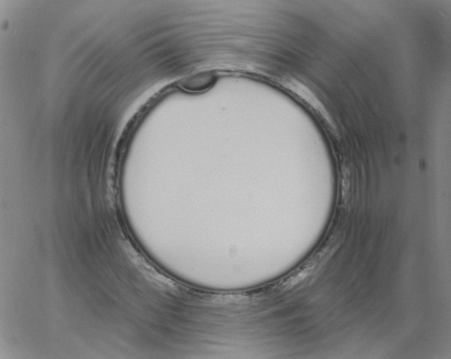 X0000062671068200601181855