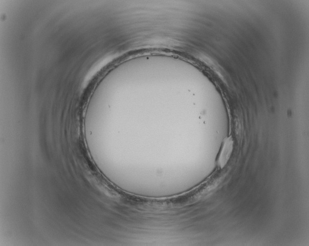 X0000062671069200601181855