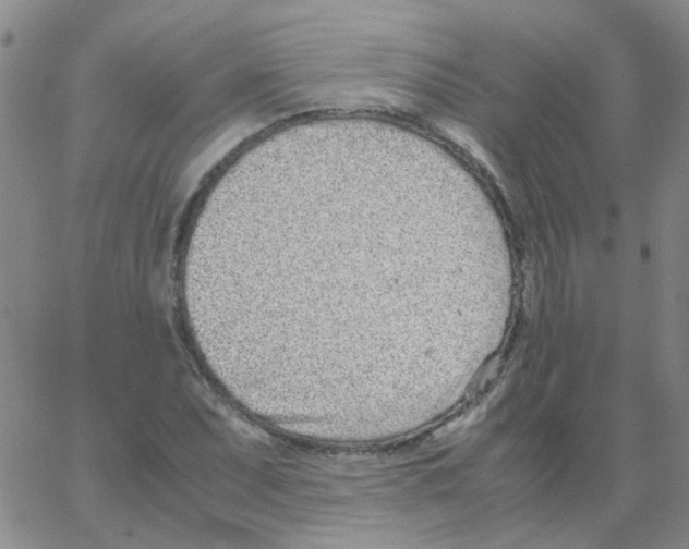 X0000062671071200601181855