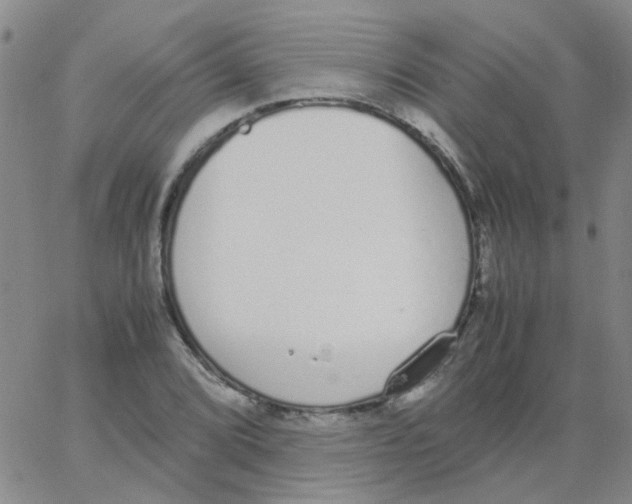 X0000062671072200601181855