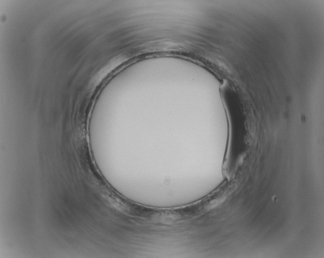 X0000062671073200601181855