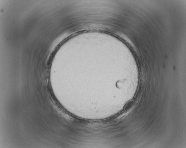 X0000062671075200601181855