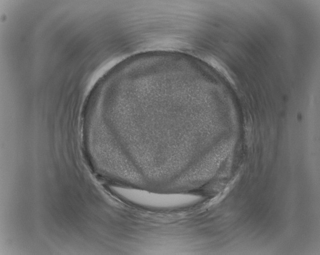 X0000062671077200601181854