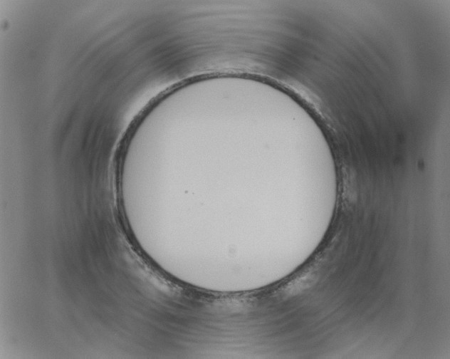 X0000062671078200601181854