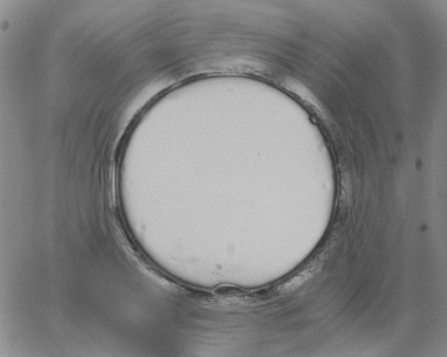 X0000062671079200601181854