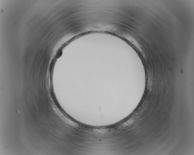 X0000062671080200601181854