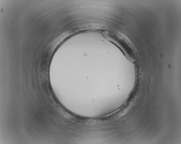 X0000062671081200601181854