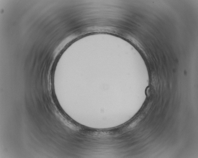 X0000062671082200601181854