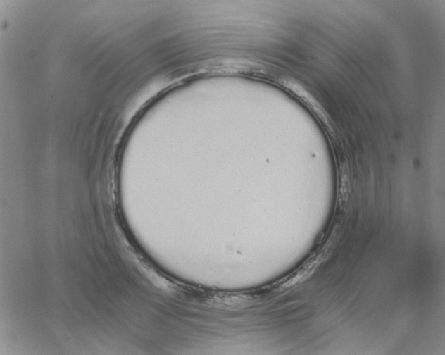 X0000062671083200601181854