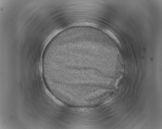 X0000062671084200601181854