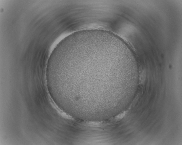 X0000062671086200601181854