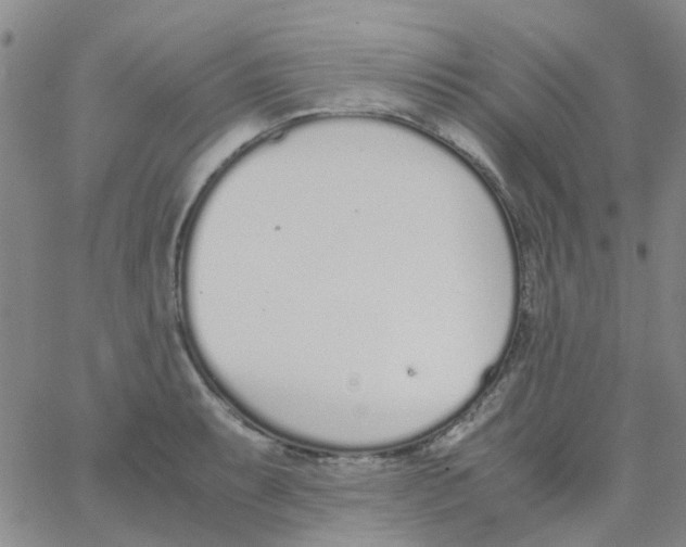 X0000062671087200601181854