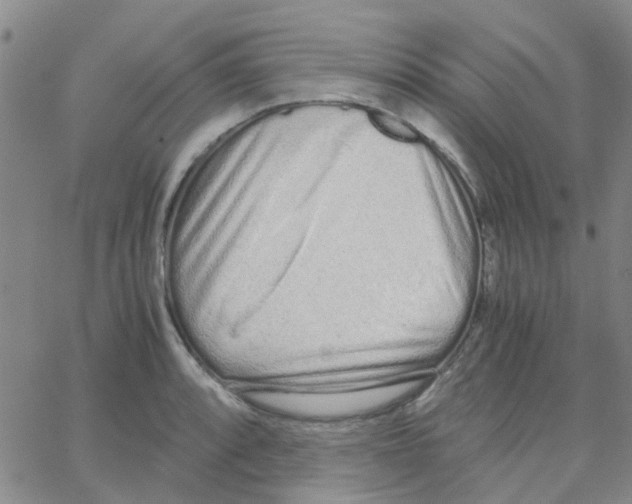 X0000062671088200601181854