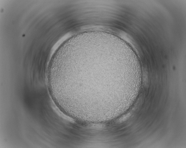 X0000062671090200601181854