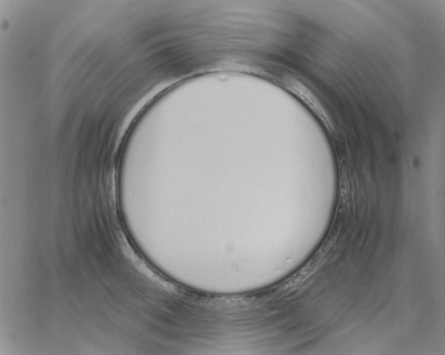 X0000062671092200601181854