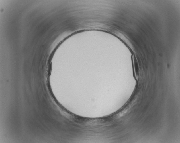 X0000062671093200601181854