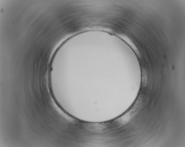 X0000062671100200601181854