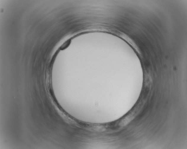 X0000062671101200601181854