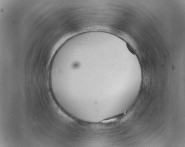 X0000062671102200601181854