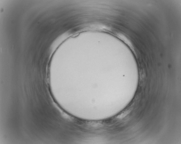 X0000062671103200601181854