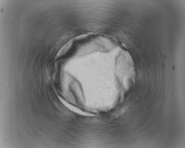 X0000062671106200601181853