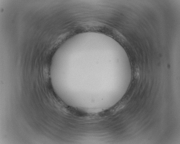 X0000062671108200601181853