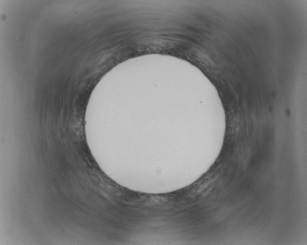 X0000062671109200601181853