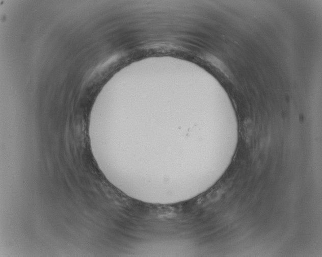 X0000062671111200601181853