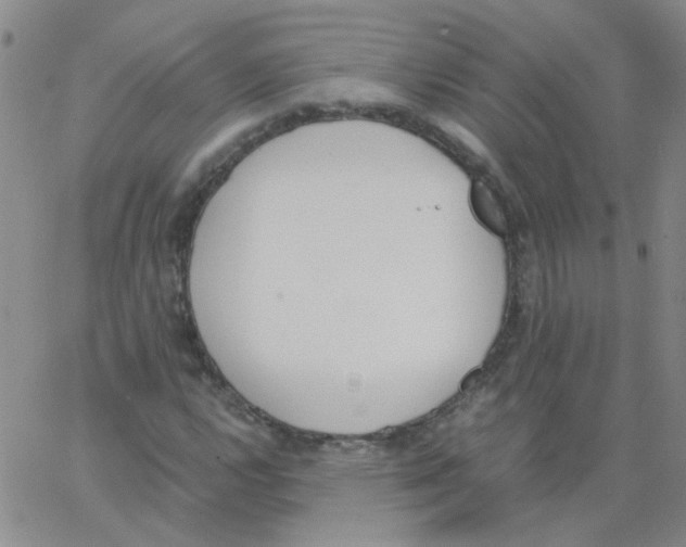 X0000062671112200601181853