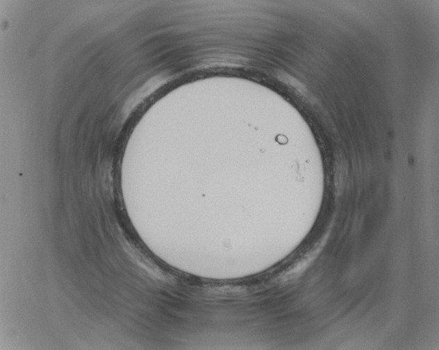 X0000062671113200601181853