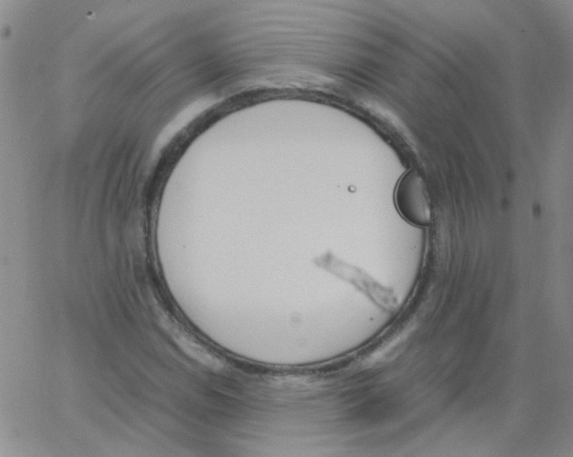 X0000062671114200601181853