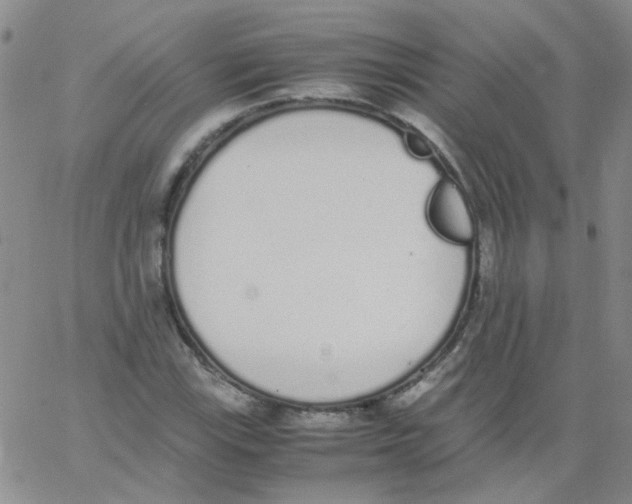 X0000062671115200601181853