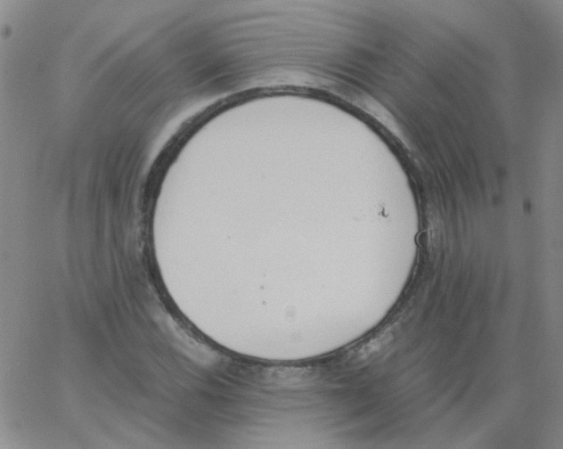 X0000062671116200601181853