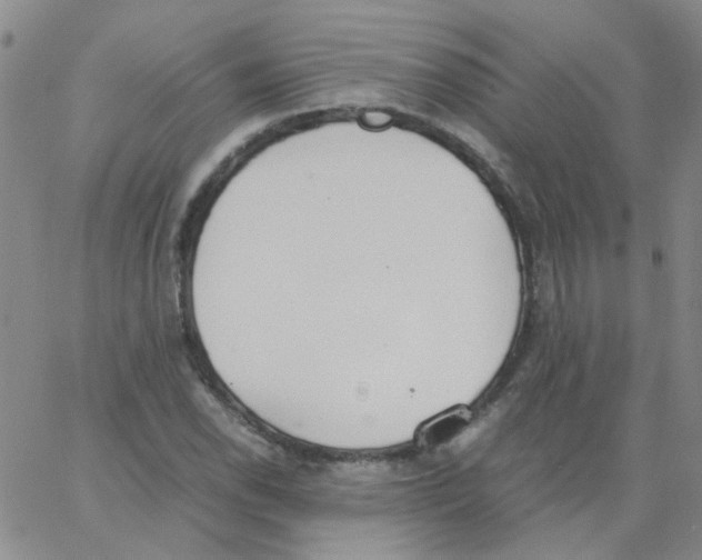 X0000062671118200601181853