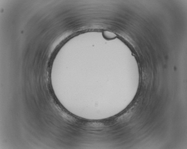 X0000062671119200601181853