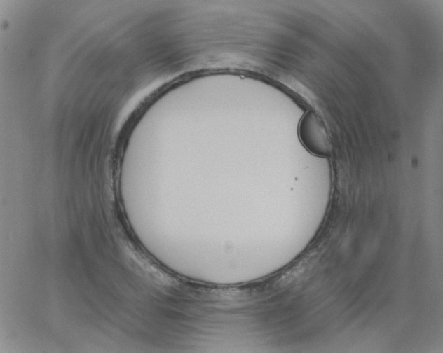 X0000062671120200601181853