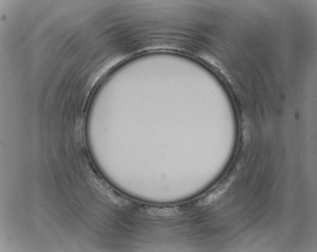 X0000062671121200601181854